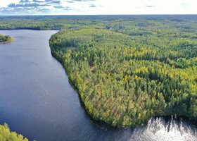 5000m², Aarremäentie 140, Mäntyharju, Tontit, Mäntyharju, Tori.fi 5000m², Aarremäentie 140, Mäntyharju, Tontit, Mäntyharju, Tori.fi