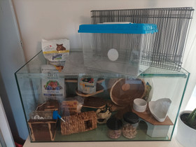 Hamsterille paljon tavaraa, Jyrsijät, Lemmikkieläimet, Hyvinkää, Tori.fi Hamsterille paljon tavaraa, Jyrsijät, Lemmikkieläimet, Hyvinkää, Tori.fi