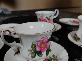 Royal Albert prairie rose, Kahvikupit, mukit ja lasit, Keittiötarvikkeet ja astiat, Hausjärvi, Tori.fi Royal Albert prairie rose, Kahvikupit, mukit ja lasit, Keittiötarvikkeet ja astiat, Hausjärvi, Tori.fi