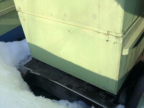 Mehiläisyhdyskunta, Muut eläimet, Lemmikkieläimet, Lemi, Tori.fi Mehiläisyhdyskunta, Muut eläimet, Lemmikkieläimet, Lemi, Tori.fi