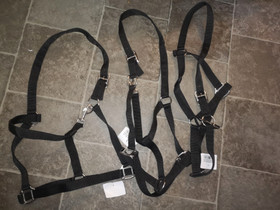 3 x päitset full, Satulat ja varusteet, Hevoset ja hevosurheilu, Joroinen, Tori.fi 3 x päitset full, Satulat ja varusteet, Hevoset ja hevosurheilu, Joroinen, Tori.fi