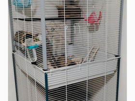 Kesyrotan häkki, Muut eläintarvikkeet, Lemmikkieläimet, Teuva, Tori.fi Kesyrotan häkki, Muut eläintarvikkeet, Lemmikkieläimet, Teuva, Tori.fi