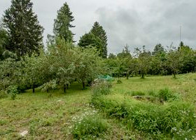 968m², Riihelänkatu 26b, Lahti, Lahti, Tontit, Lahti, Tori.fi 968m², Riihelänkatu 26b, Lahti, Lahti, Tontit, Lahti, Tori.fi