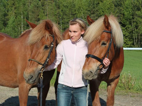 Suomenhevonen, Hevoset ja ponit, Hevoset ja hevosurheilu, Tampere, Tori.fi