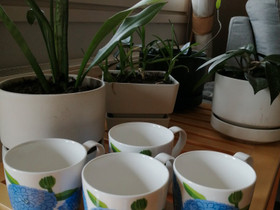 Marimekko Primavera, Kahvikupit, mukit ja lasit, Keittiötarvikkeet ja astiat, Hamina, Tori.fi Marimekko Primavera, Kahvikupit, mukit ja lasit, Keittiötarvikkeet ja astiat, Hamina, Tori.fi