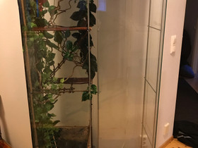 Terraario, Muut eläimet, Lemmikkieläimet, Laihia, Tori.fi Terraario, Muut eläimet, Lemmikkieläimet, Laihia, Tori.fi