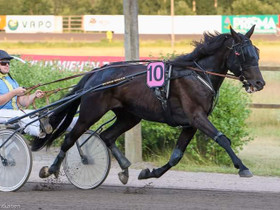 Lv startti kimppa, Hevoset ja ponit, Hevoset ja hevosurheilu, Lemi, Tori.fi Lv startti kimppa, Hevoset ja ponit, Hevoset ja hevosurheilu, Lemi, Tori.fi