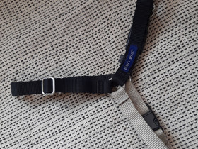 Reaktiovaljaat, koko S/M, Koirien tarvikkeet, Lemmikkieläimet, Vihti, Tori.fi Reaktiovaljaat, koko S/M, Koirien tarvikkeet, Lemmikkieläimet, Vihti, Tori.fi