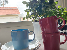 Teema kahvikupit ja leipälautaset, Ruokailuastiat ja aterimet, Keittiötarvikkeet ja astiat, Pietarsaari, Tori.fi Teema kahvikupit ja leipälautaset, Ruokailuastiat ja aterimet, Keittiötarvikkeet ja astiat, Pietarsaari, Tori.fi