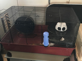 Hamsterin häkki, Muut eläintarvikkeet, Lemmikkieläimet, Ulvila, Tori.fi Hamsterin häkki, Muut eläintarvikkeet, Lemmikkieläimet, Ulvila, Tori.fi