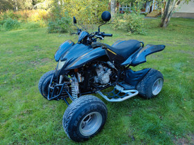 Dinli 450, Mönkijät, Moto, Lieksa, Tori.fi Dinli 450, Mönkijät, Moto, Lieksa, Tori.fi