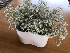 Artek Riihitie-ruukku, Sisustustavarat, Sisustus ja huonekalut, Kotka, Tori.fi Artek Riihitie-ruukku, Sisustustavarat, Sisustus ja huonekalut, Kotka, Tori.fi