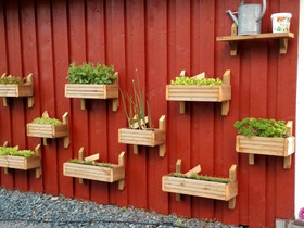 Yrtti/kukkalaatikoita, Ruukut, kivet ja koristeet, Piha ja puutarha, Siilinjärvi, Tori.fi Yrtti/kukkalaatikoita, Ruukut, kivet ja koristeet, Piha ja puutarha, Siilinjärvi, Tori.fi