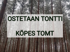 Tontti Koivulahdessa / Tomt i Kvevlax, Tontit, Mustasaari, Tori.fi Tontti Koivulahdessa / Tomt i Kvevlax, Tontit, Mustasaari, Tori.fi