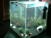Aquael 30 l nano akvaario