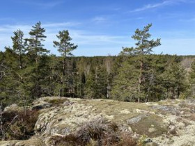 5010m², Fagervikintie, Inkoo, Tontit, Inkoo, Tori.fi 5010m², Fagervikintie, Inkoo, Tontit, Inkoo, Tori.fi