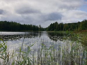 5740m², Paljakantie 350, Kouvola, Tontit, Kouvola, Tori.fi 5740m², Paljakantie 350, Kouvola, Tontit, Kouvola, Tori.fi