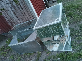 Terraariot projektiksi, Muut eläintarvikkeet, Lemmikkieläimet, Rusko, Tori.fi Terraariot projektiksi, Muut eläintarvikkeet, Lemmikkieläimet, Rusko, Tori.fi