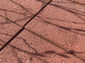 Pihalattoja 30/30, Ruukut, kivet ja koristeet, Piha ja puutarha, Rovaniemi, Tori.fi Pihalattoja 30/30, Ruukut, kivet ja koristeet, Piha ja puutarha, Rovaniemi, Tori.fi