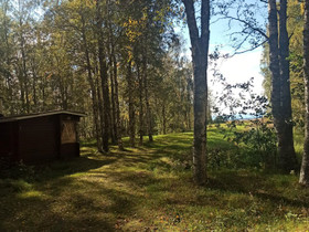 Polttopuuta kaatopalkaksi, Maatalous, Oulu, Tori.fi Polttopuuta kaatopalkaksi, Maatalous, Oulu, Tori.fi