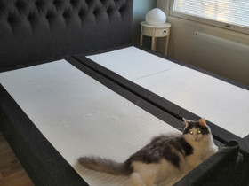 Moottorisänky 180cm., Sängyt ja makuuhuone, Sisustus ja huonekalut, Sastamala, Tori.fi Moottorisänky 180cm., Sängyt ja makuuhuone, Sisustus ja huonekalut, Sastamala, Tori.fi