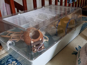 Hamsterin häkki, Muut eläintarvikkeet, Lemmikkieläimet, Espoo, Tori.fi Hamsterin häkki, Muut eläintarvikkeet, Lemmikkieläimet, Espoo, Tori.fi