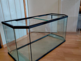 Terraario, Muut eläintarvikkeet, Lemmikkieläimet, Kotka, Tori.fi Terraario, Muut eläintarvikkeet, Lemmikkieläimet, Kotka, Tori.fi