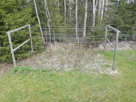 Vadelmapuskia itse kaivaen VARATTU, Muu piha ja puutarha, Piha ja puutarha, Luumäki, Tori.fi Vadelmapuskia itse kaivaen VARATTU, Muu piha ja puutarha, Piha ja puutarha, Luumäki, Tori.fi