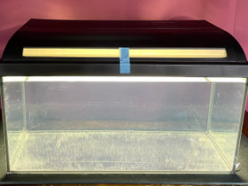 Akvaario paketti 54 L (käyttämätön), Kalat ja akvaariot, Lemmikkieläimet, Vantaa, Tori.fi Akvaario paketti 54 L (käyttämätön), Kalat ja akvaariot, Lemmikkieläimet, Vantaa, Tori.fi
