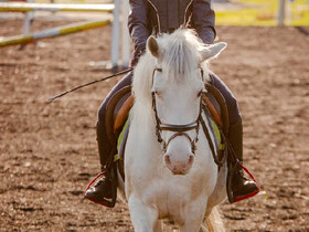 Poni tai pieni hevonen, Hevoset ja ponit, Hevoset ja hevosurheilu, Kaarina, Tori.fi
