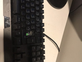 Razer Blacwidow X Chroma, Oheislaitteet, Tietokoneet ja lisälaitteet, Kokkola, Tori.fi Razer Blacwidow X Chroma, Oheislaitteet, Tietokoneet ja lisälaitteet, Kokkola, Tori.fi