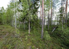 6260m², Liesijärvi (2/5) kortteli 2, tontti 5, Par, Tontit, Parkano, Tori.fi 6260m², Liesijärvi (2/5) kortteli 2, tontti 5, Par, Tontit, Parkano, Tori.fi