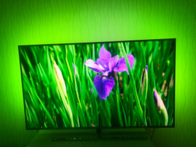Philips The One 65", Televisiot, Viihde-elektroniikka, Naantali, Tori.fi Philips The One 65", Televisiot, Viihde-elektroniikka, Naantali, Tori.fi
