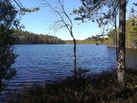 2500m², Patalahdentie, Kouvola, Tontit, Kouvola, Tori.fi 2500m², Patalahdentie, Kouvola, Tontit, Kouvola, Tori.fi