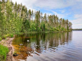 5600m², Ahveninen, Myllylahti (19/1) Kortteli 19,, Tontit, Rautavaara, Tori.fi 5600m², Ahveninen, Myllylahti (19/1) Kortteli 19,, Tontit, Rautavaara, Tori.fi