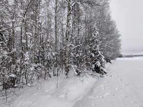 5000m², Hamula (3) Määräala 3, Siilinjärvi, Tontit, Siilinjärvi, Tori.fi 5000m², Hamula (3) Määräala 3, Siilinjärvi, Tontit, Siilinjärvi, Tori.fi