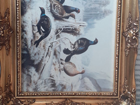 G.H. von Wright lintutaulu, 2kpl, Taulut, Sisustus ja huonekalut, Pori, Tori.fi G.H. von Wright lintutaulu, 2kpl, Taulut, Sisustus ja huonekalut, Pori, Tori.fi