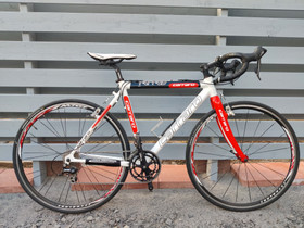 Carraro Pelago., Kilpapyörät, Polkupyörät ja pyöräily, Oulu, Tori.fi Carraro Pelago., Kilpapyörät, Polkupyörät ja pyöräily, Oulu, Tori.fi
