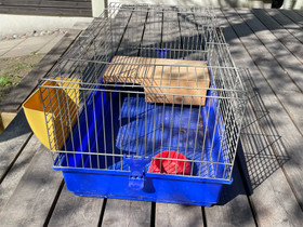 VARATTU Marsun häkki, Muut eläintarvikkeet, Lemmikkieläimet, Espoo, Tori.fi VARATTU Marsun häkki, Muut eläintarvikkeet, Lemmikkieläimet, Espoo, Tori.fi