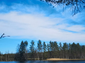Mökki tontti, koko niemenkärki., Tontit, Alavus, Tori.fi Mökki tontti, koko niemenkärki., Tontit, Alavus, Tori.fi