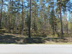 2571m², Mäkipajanranta 9, Muurame, Tontit, Muurame, Tori.fi 2571m², Mäkipajanranta 9, Muurame, Tontit, Muurame, Tori.fi