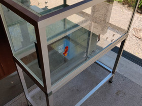 Terraario, Jyrsijät, Lemmikkieläimet, Mäntsälä, Tori.fi Terraario, Jyrsijät, Lemmikkieläimet, Mäntsälä, Tori.fi