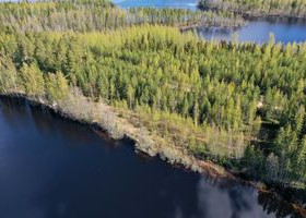 5500m², Tattariniementie 136, Mikkeli, Tontit, Mikkeli, Tori.fi 5500m², Tattariniementie 136, Mikkeli, Tontit, Mikkeli, Tori.fi