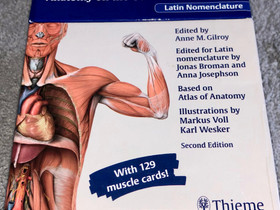 Anatomy Flash Cards, Oppikirjat, Kirjat ja lehdet, Kuopio, Tori.fi Anatomy Flash Cards, Oppikirjat, Kirjat ja lehdet, Kuopio, Tori.fi
