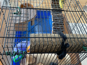 Hamsterinhäkki tarvikkeineen, Muut eläintarvikkeet, Lemmikkieläimet, Helsinki, Tori.fi Hamsterinhäkki tarvikkeineen, Muut eläintarvikkeet, Lemmikkieläimet, Helsinki, Tori.fi