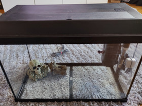 Akvaario 60L Juwel, Kalat ja akvaariot, Lemmikkieläimet, Kaarina, Tori.fi Akvaario 60L Juwel, Kalat ja akvaariot, Lemmikkieläimet, Kaarina, Tori.fi