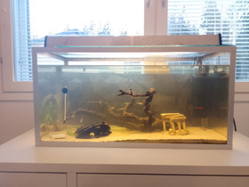 80L akvaario, Kalat ja akvaariot, Lemmikkieläimet, Porvoo, Tori.fi 80L akvaario, Kalat ja akvaariot, Lemmikkieläimet, Porvoo, Tori.fi