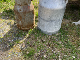 Maitotonkka 30l, Ruukut, kivet ja koristeet, Piha ja puutarha, Salo, Tori.fi Maitotonkka 30l, Ruukut, kivet ja koristeet, Piha ja puutarha, Salo, Tori.fi