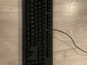 Steelseries APEX 150 näppäimistö, Oheislaitteet, Tietokoneet ja lisälaitteet, Ylöjärvi, Tori.fi Steelseries APEX 150 näppäimistö, Oheislaitteet, Tietokoneet ja lisälaitteet, Ylöjärvi, Tori.fi