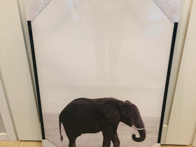 Canvas-taulu Elefantti, Taulut, Sisustus ja huonekalut, Vihti, Tori.fi Canvas-taulu Elefantti, Taulut, Sisustus ja huonekalut, Vihti, Tori.fi